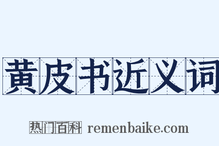 黄皮书近义词是什么意思的图片